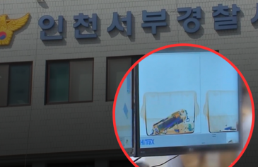 Trị ngay 'nghề cửu vạn' bất trị của tiếp viên hàng không Trị ngay 'nghề cửu vạn' bất trị của tiếp viên hàng không